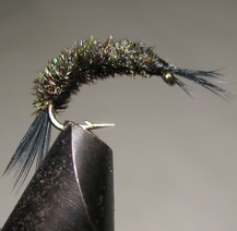 ���� �������� SSC 033 Scud Peacock ��. � 8